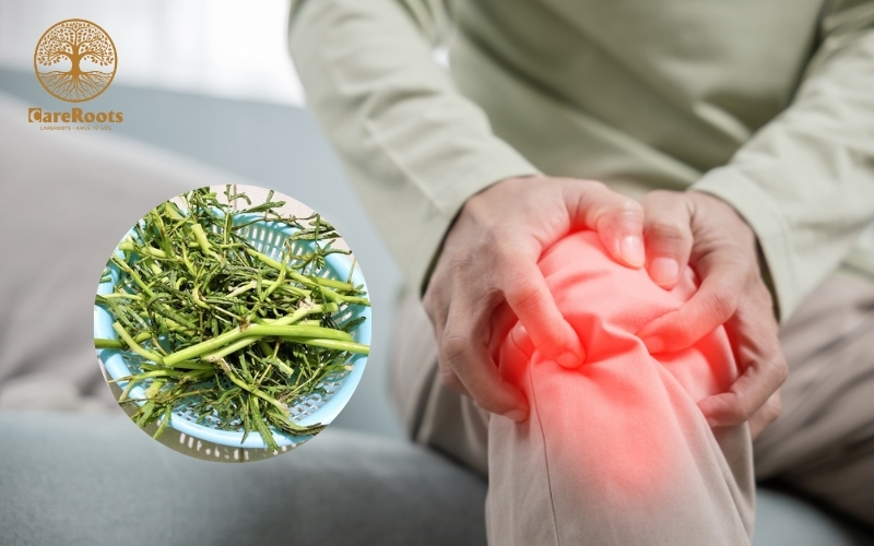 Ăn Rau Rút Đau Xương Khớp Hay Khỏi Đau? Sự Thật Khiến Bạn “Ngã Ngửa”!
